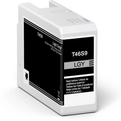 Epson T46S9 Cartouche d'encre pigmentée générique gris clair – Remplace C13T46S900