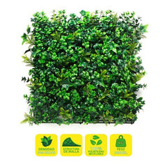 Sungarden Jardin Vertical Série Botanico 50x50cm - Couleur Vert